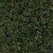 Mt Olive Green